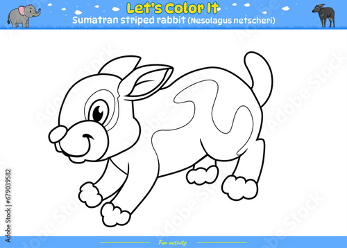 Lets color it Sumatran striped rabbit