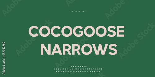 Elegant Font Uppercase Lowercase and Number. Classic Lettering Minimal Fashion Designs. Typography modern Sen Serif fonts regular decorative vintage concept. vector illustration