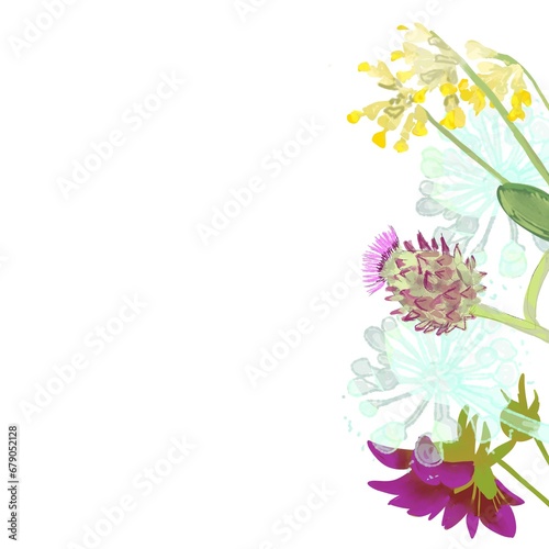 Wonderful floral border, botanical clipart, flowers on white background