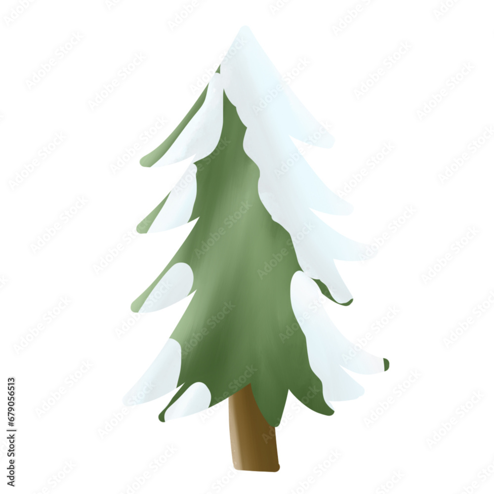 Watercolor pine tree illustration Watercolor pine tree illustration
