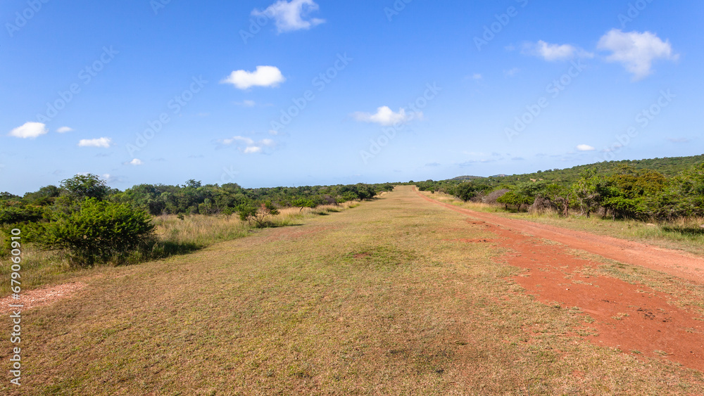 Grass Airfield Strip Runway Wildlife Safari Landscape
