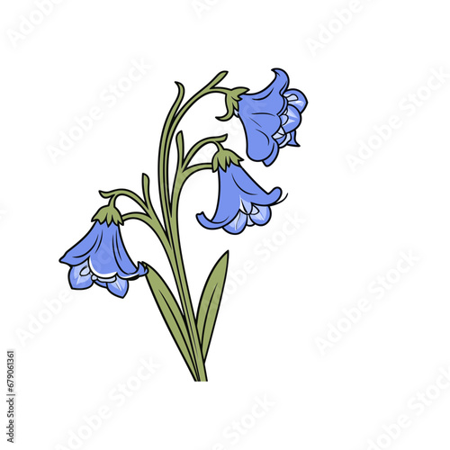 blue bell flower isolated vector illustration