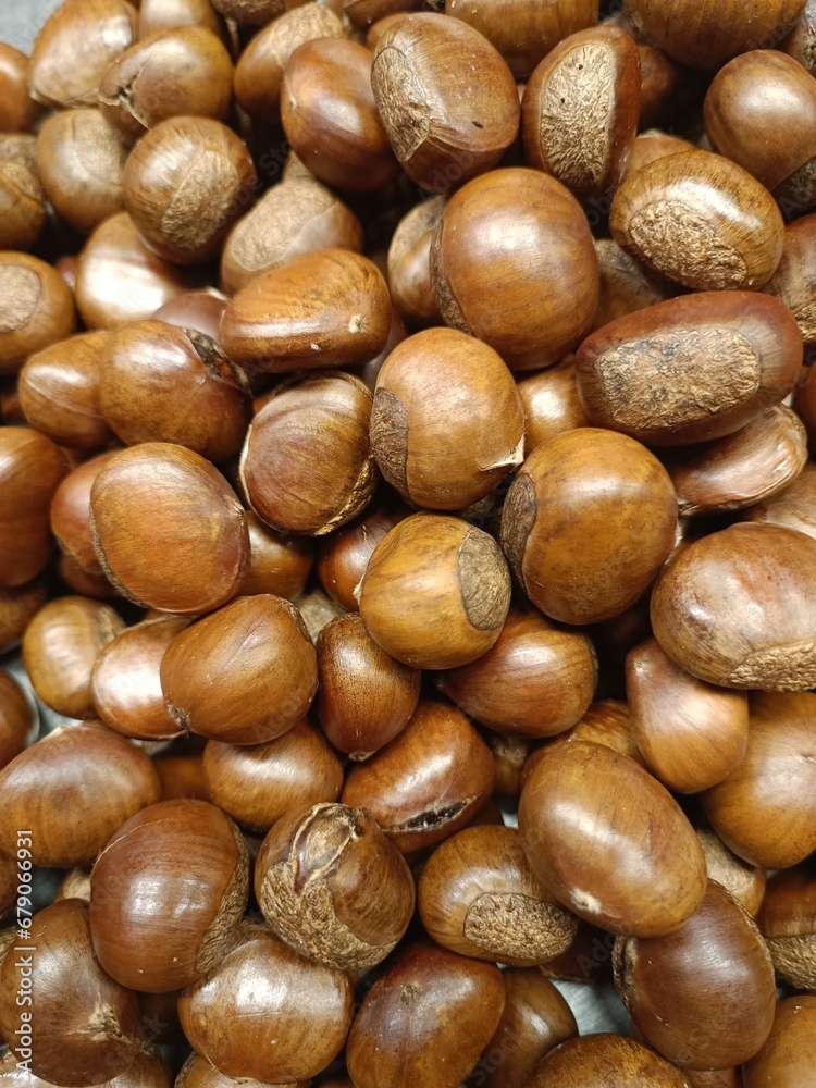 Lots of roasted chestnuts They have a shiny brown shell. Lots of roasted chestnuts They have a shiny brown shell.