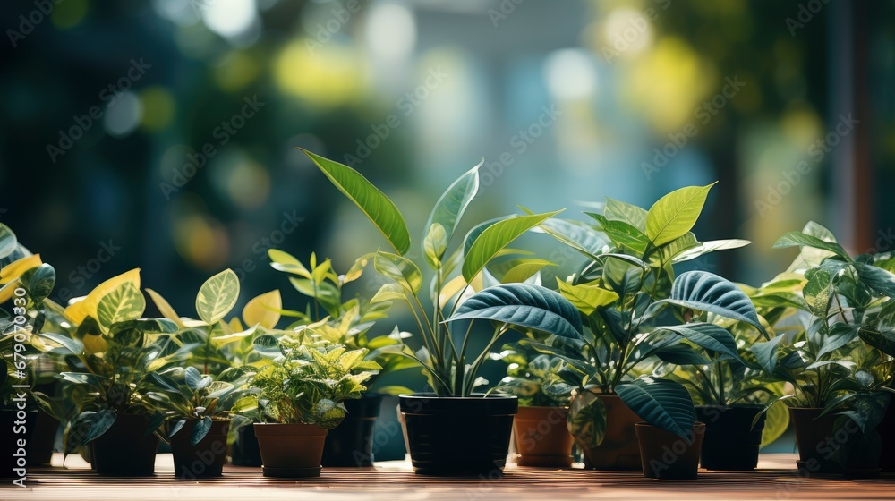 Nature Green Leaf Garden Summer Natural, HD, Background Wallpaper, Desktop Wallpaper