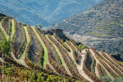 Entre montanhas, uma zona rural com algumas vinhas, com as cores típicas do Outono/Inverno Trás os Montes, Portugal photo