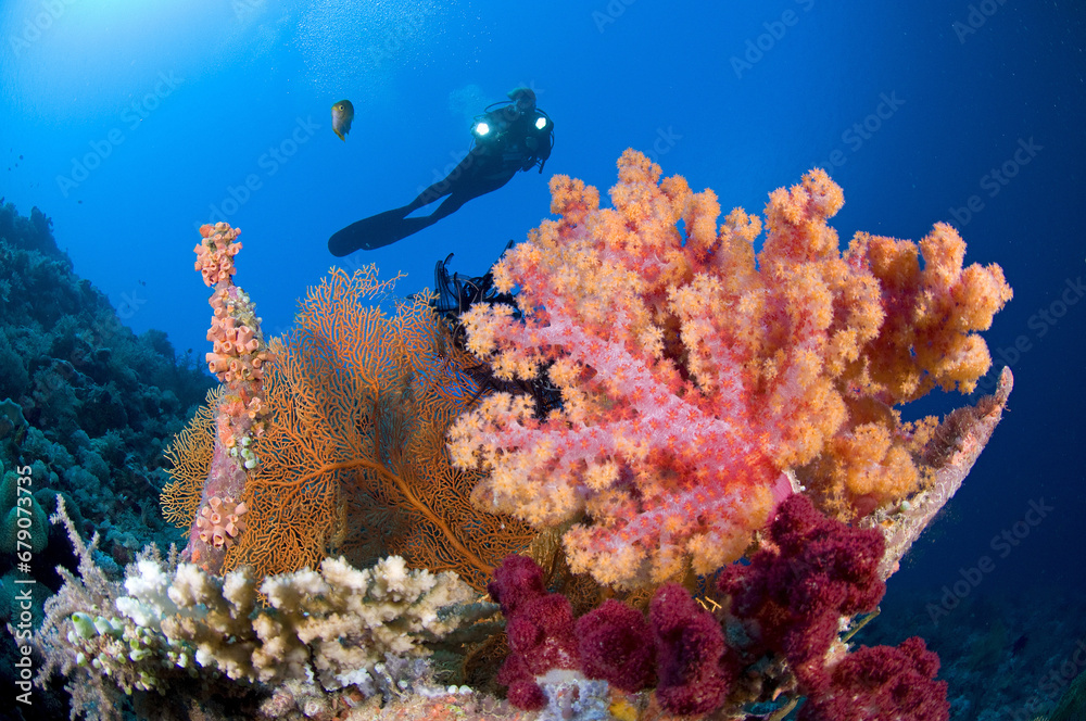 Fototapeta premium SIM-756420-BSP