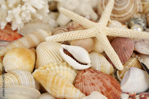 Starfish and corals with pearls on seashells background.