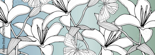 Black and white lily flowers with leaves and butterflies on a gradient blue-green background. Flower card  banner  poster  background  wallpaper