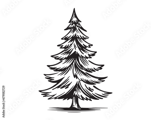 Christmas tree hand drawn illustrations