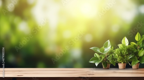 wood table green wall background with sunlight window create leaf shadow on wall with blur indoor green plant foreground.panoramic banner mockup for display of product.eco friendly interior concept