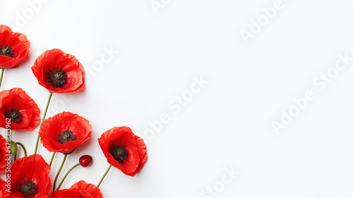 Red poppy flower isolated on white background photo