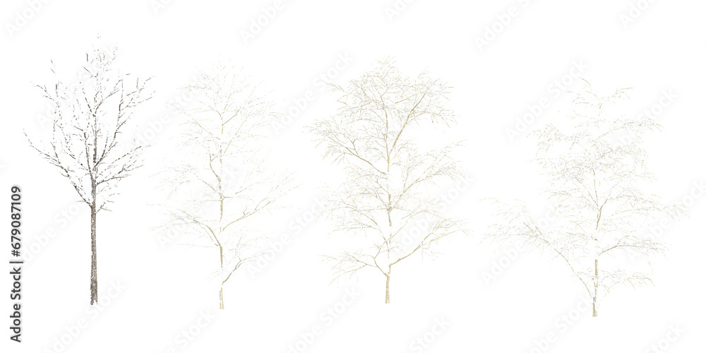 3d rendering of Winter trees on snow isolated background 3d rendering of Winter trees on snow isolated background