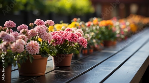 Gardening Tools Flowers On Terrace Garden, HD, Background Wallpaper, Desktop Wallpaper