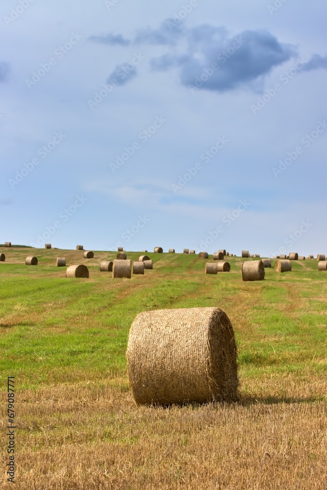 View of straw bales in a field in the highlands. No people, no machines.