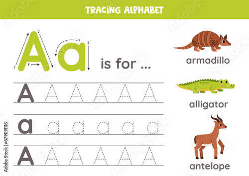 Tracing all letters of English alphabet. Preschool activity for kids. Writing uppercase and lowercase letter A. Cute illustration of armadillo, alligator, antelope. Printable worksheet.
