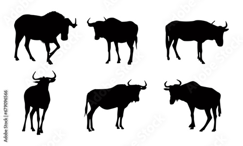 Tailed gnu silhouettes set with unique pose photo