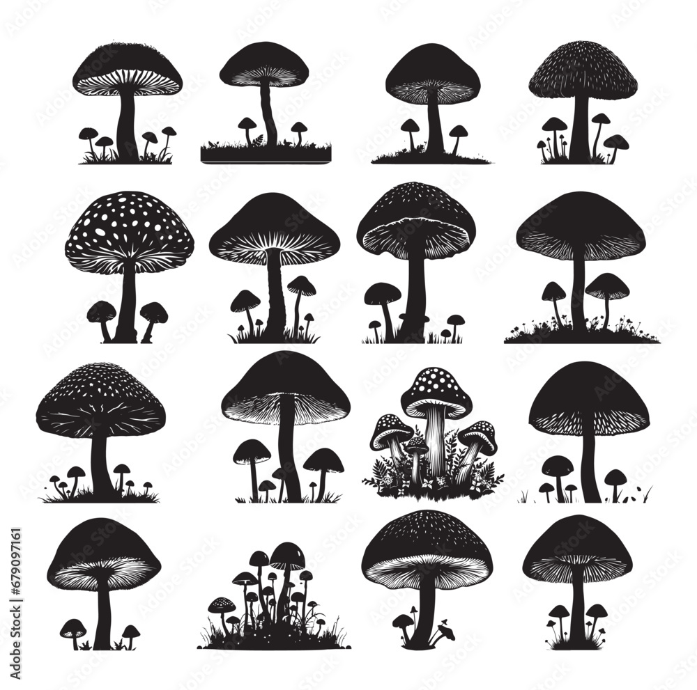 Mushroom silhouette Vector On White Background. Mushroom silhouette Vector On White Background.