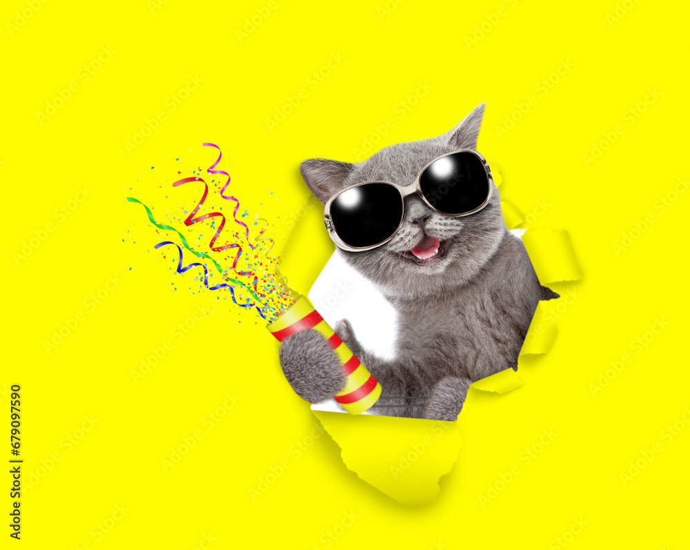 Happy cat wearing sunglasses looks through a hole in yellow paper holds exploding firecracker