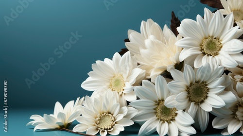 Beautiful White Flowers Meadow, HD, Background Wallpaper, Desktop Wallpaper