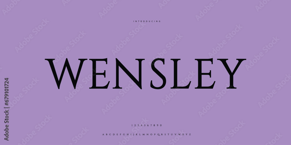 Elegant Font Uppercase Lowercase and Number. Classic Lettering Minimal Fashion Designs. Typography modern Serif fonts regular decorative vintage concept. vector illustration Elegant Font Uppercase Lowercase and Number. Classic Lettering Minimal Fashion Designs. Typography modern Serif fonts regular decorative vintage concept. vector illustration