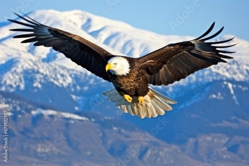 eagle in flight, mountains in the background