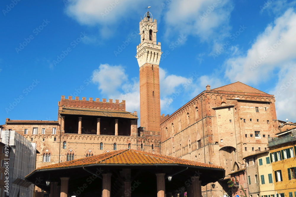Siena, Torre del Mangia. Tuscany, Itly