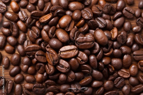 single coffee bean extreme closeup