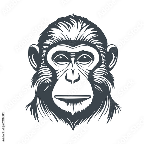 Monkey icon concept design stock illustration