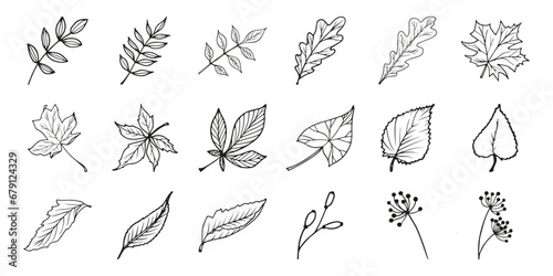 Autumn doodles set. Hand drawn vector illustration. Leaves and brunces sketch on wite background. photo