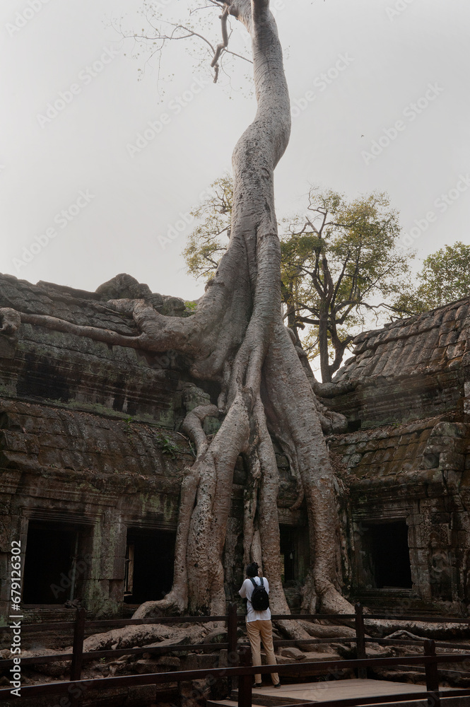 A male foreign tourist watching the famous tree growing in the Ta Prohm temple ruins, Siem Reap, Cambodia.
