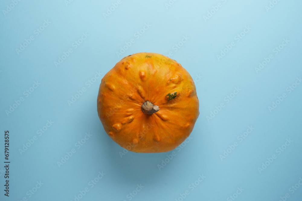 Creative flat lay autumn composition. Сoncept small orange pumpkin blue color paper background. Minimalism. Template fall harvest thanksgiving halloween anniversary invitation. Top view. Creative flat lay autumn composition. Сoncept small orange pumpkin blue color paper background. Minimalism. Template fall harvest thanksgiving halloween anniversary invitation. Top view.