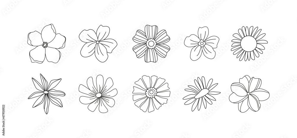 Linear vintage groovy flowers. Hand drawn line art. Flower power. Floral summer and spring garden. Doodles. Coloring book.