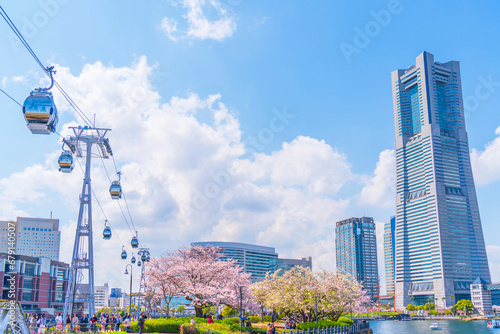 Foto 春の横浜みなとみらい　汽車道の桜並木【神奈川県・横浜市】　
Cherry blossoms blooming Yokohama Minato Mirai - K