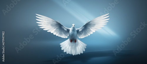 Human rights symbol in the form of a dove Copy space image Place for adding text or design photo