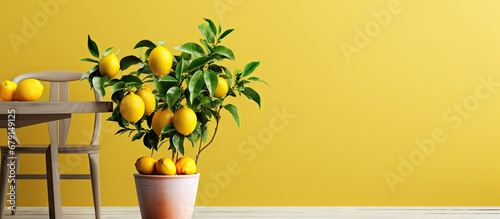 Indoor dining room with lemon tree decor Growing ripe yellow citrus fruits Elegant home decor and gardening hobby Copy space image Place for adding text or design photo