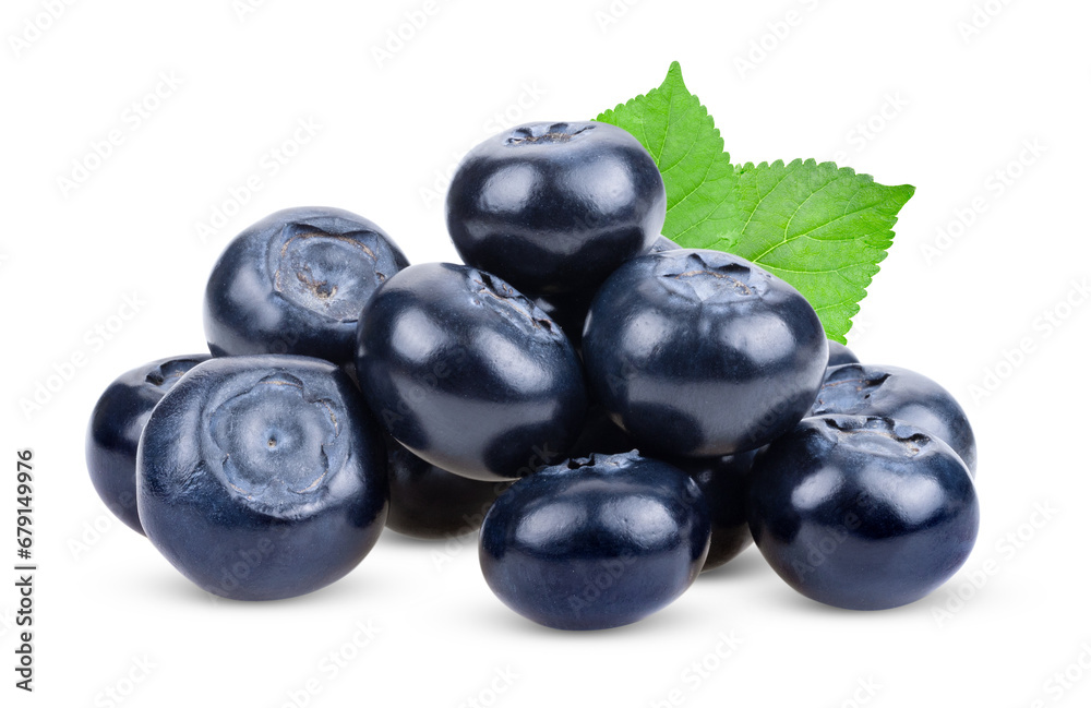 blueberry isolated on transparent png blueberry isolated on transparent png