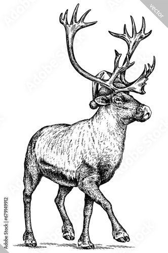 Vintage engraving isolated deer set dressed christmas illustration ink santa costume sketch. Northern reindeer background stag silhouette new year hat art. Black and white hand drawn vector image