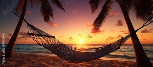 Hammock on palm trees at sunset representing carefree freedom on a tropical beach Summer nature exotic shore Tranquil travel paradise Enjoy life positive energy Copy space image Place for addin © Ilgun
