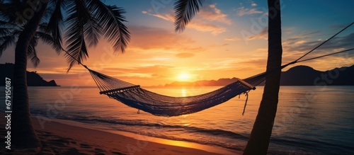 Hammock on palm trees at sunset representing carefree freedom on a tropical beach Summer nature exotic shore Tranquil travel paradise Enjoy life positive energy Copy space image Place for addin