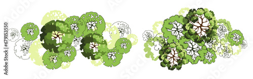 Tree for architectural floor plans. Entourage design. Various trees, bushes, and shrubs, top view for the landscape design plan. Vector illustration.