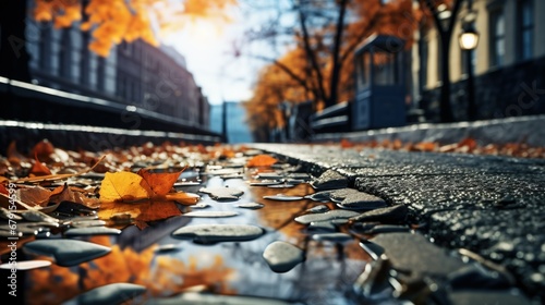 In the picture is a cobblestone road  the wind blows  the fallen leaves on the road are blown  forming a unique landscape