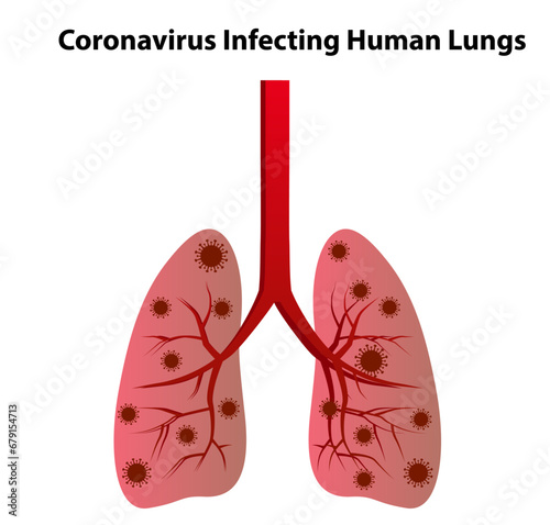 coronavirus affects human lungs vector design
