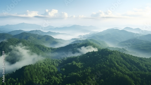 Lush mountain forest, high angle aerial view with light mist.
