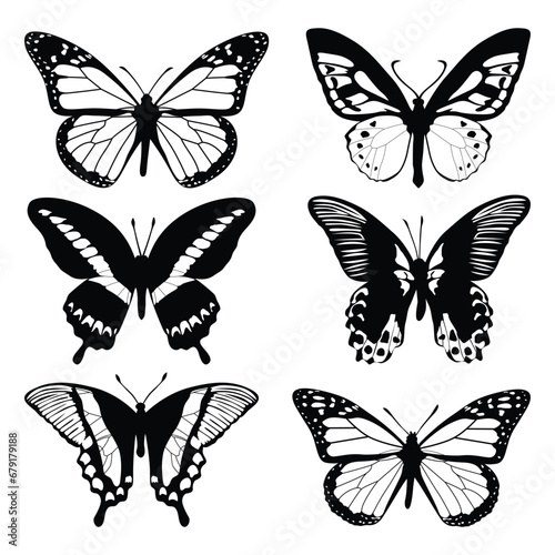 monochrome Butterfly Silhouettes Vector © JerinChowdhury