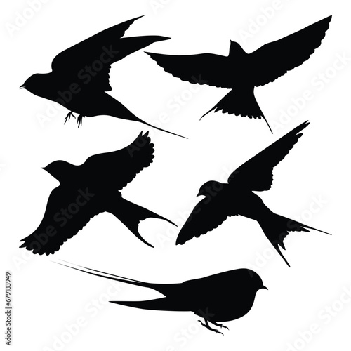 Bird Swallow Silhouettes Vector illustration