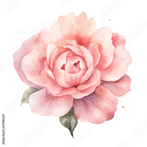 Painted Petals Watercolor Blush Rose Clipart, Watercolor floral border, blush pink roses clipart, dusty pink wedding clip art, watercolor flowers clipart, Dusty Rose Floral Clipart , generative ai