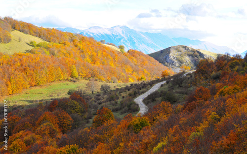strada che attraversa il bosco tra le montagne durante l'autunno con tutti i faggi arancioni e in pieno foliage