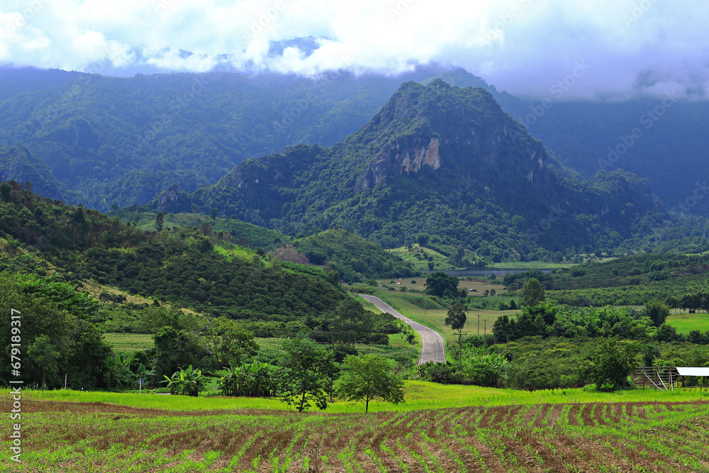 Scenic forest view, Tham Sakaen, border area of Nan Province. with Phayao Province, Thailand Scenic forest view, Tham Sakaen, border area of Nan Province. with Phayao Province, Thailand