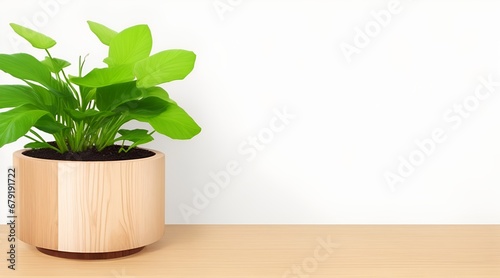 Wooden table  Complemented by a vibrant potted plant blurred white background. Beautiful versatile backdrop for design and product presentation
