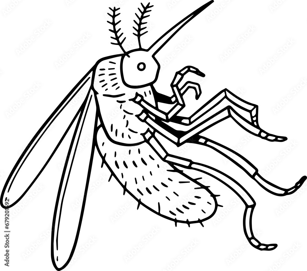 Fototapeta premium mosquito illustration.